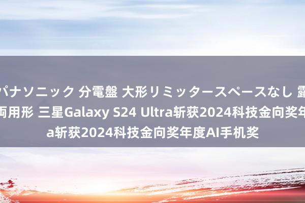 パナソニック 分電盤 大形リミッタースペースなし 露出・半埋込両用形 三星Galaxy S24 Ultra斩获2024科技金向奖年度AI手机奖