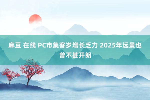 麻豆 在线 PC市集客岁增长乏力 2025年远景也曾不甚开朗