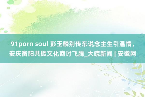 91porn soul 彭玉麟别传东说念主生引温情，安庆衡阳共掀文化商讨飞腾_大皖新闻 | 安徽网