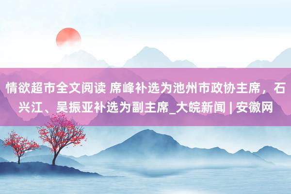 情欲超市全文阅读 席峰补选为池州市政协主席，石兴江、吴振亚补选为副主席_大皖新闻 | 安徽网