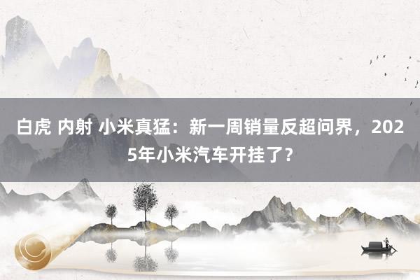 白虎 内射 小米真猛：新一周销量反超问界，2025年小米汽车开挂了？