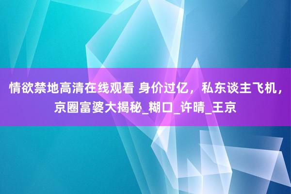 情欲禁地高清在线观看 身价过亿，私东谈主飞机，京圈富婆大揭秘_糊口_许晴_王京