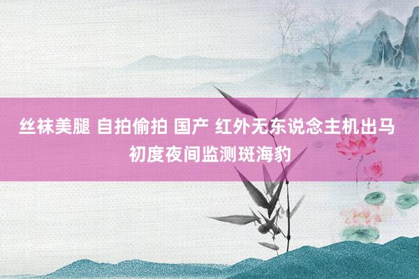 丝袜美腿 自拍偷拍 国产 红外无东说念主机出马 初度夜间监测斑海豹